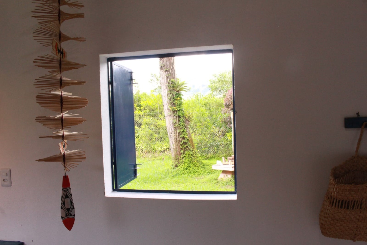 Chácara, 4 quartos, 6 hectares - Foto 2