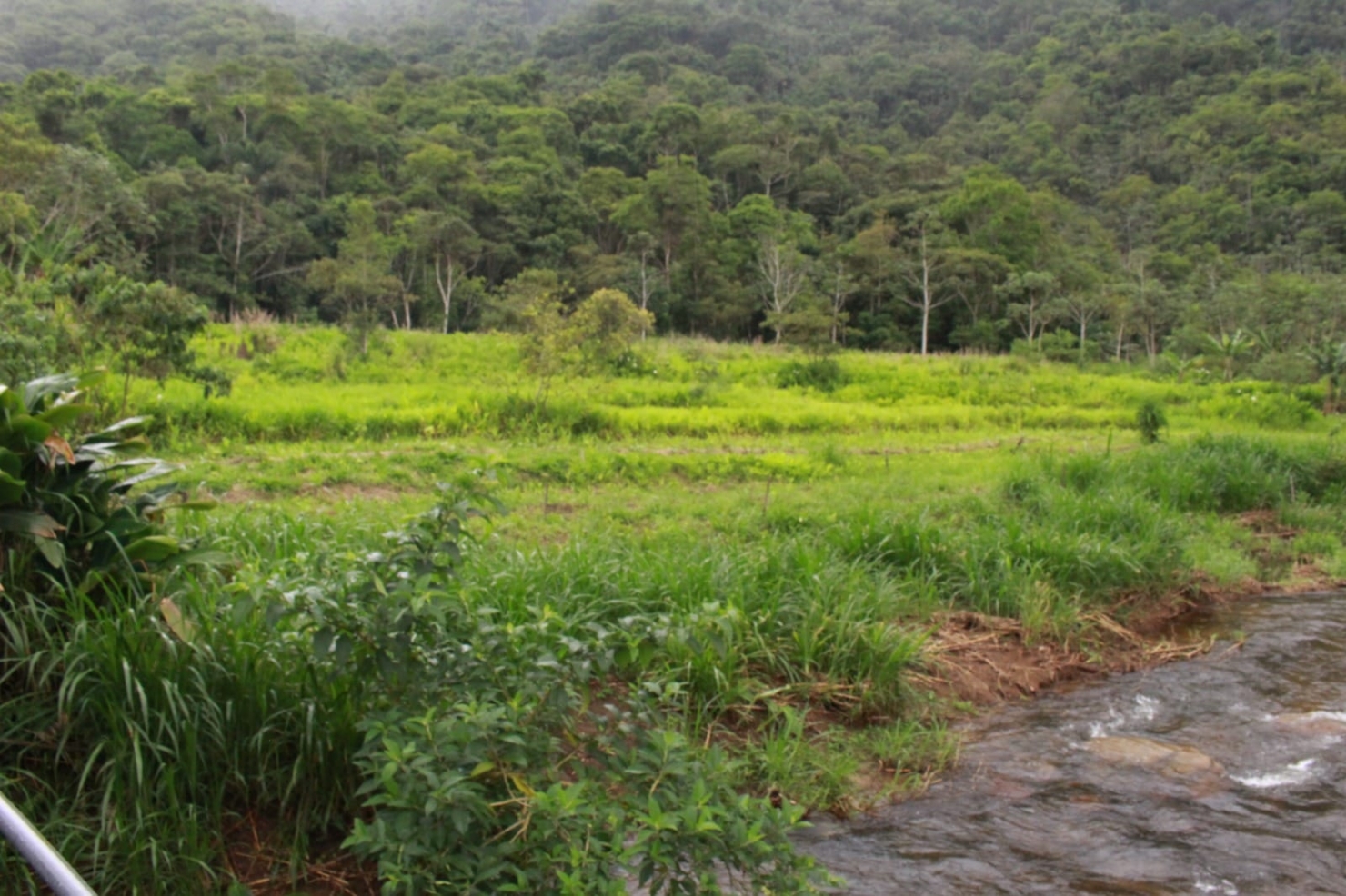 Chácara, 4 quartos, 6 hectares - Foto 5