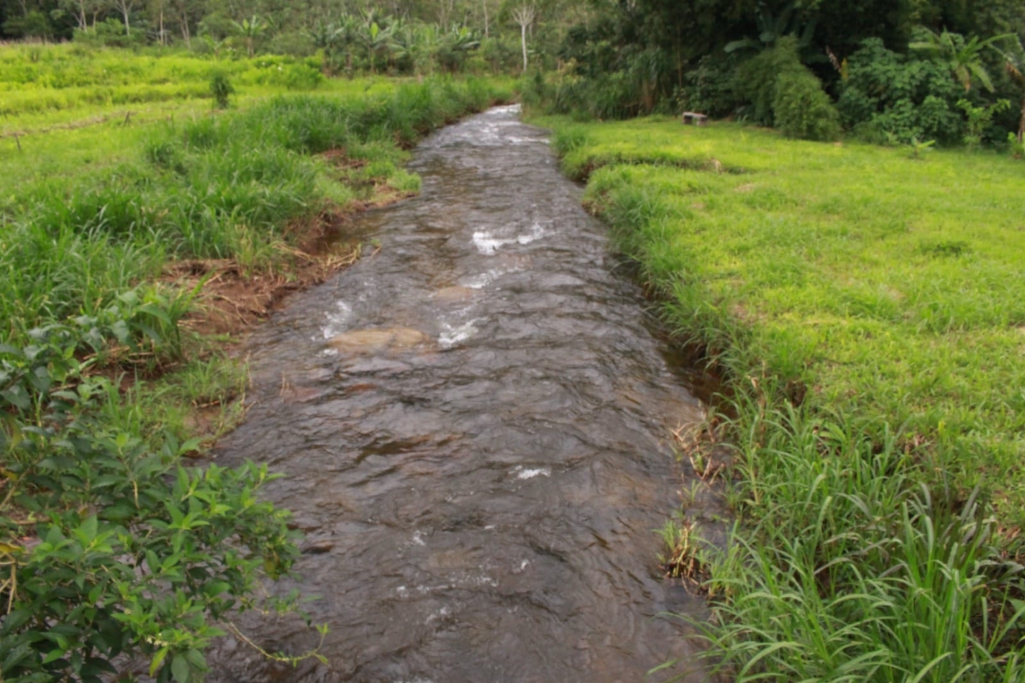 Chácara, 4 quartos, 6 hectares - Foto 6