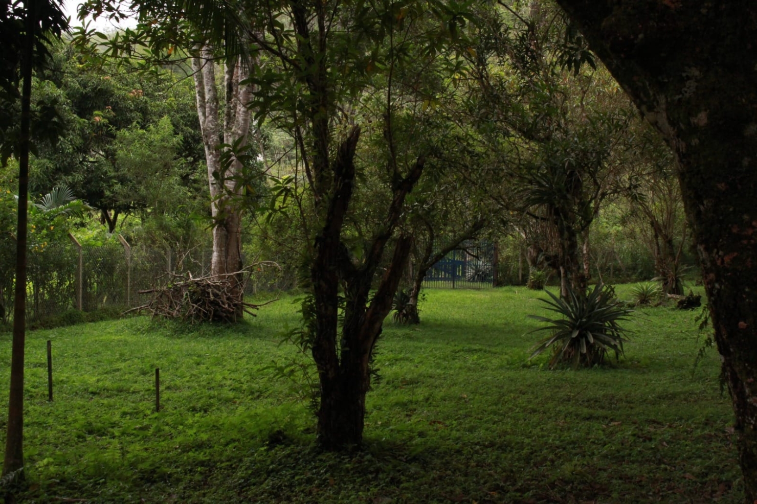 Chácara, 4 quartos, 6 hectares - Foto 11