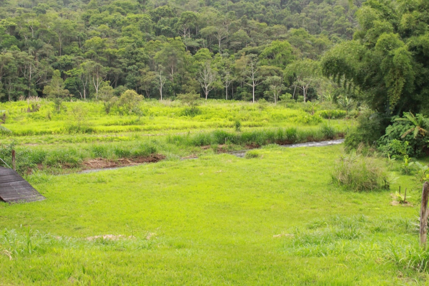 Chácara, 4 quartos, 6 hectares - Foto 16