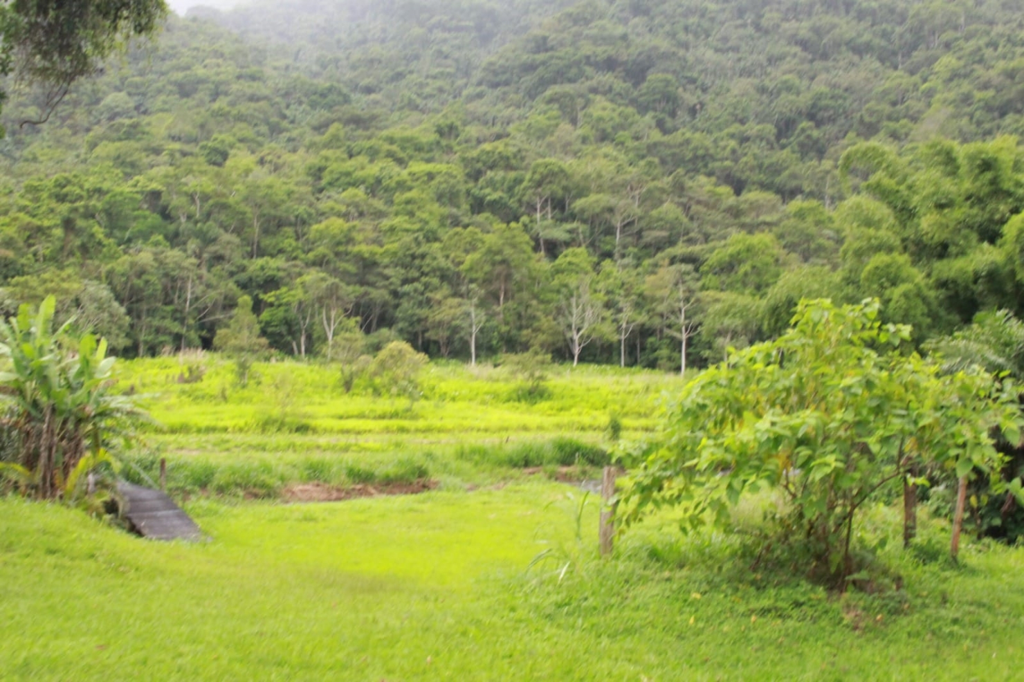 Chácara, 4 quartos, 6 hectares - Foto 17