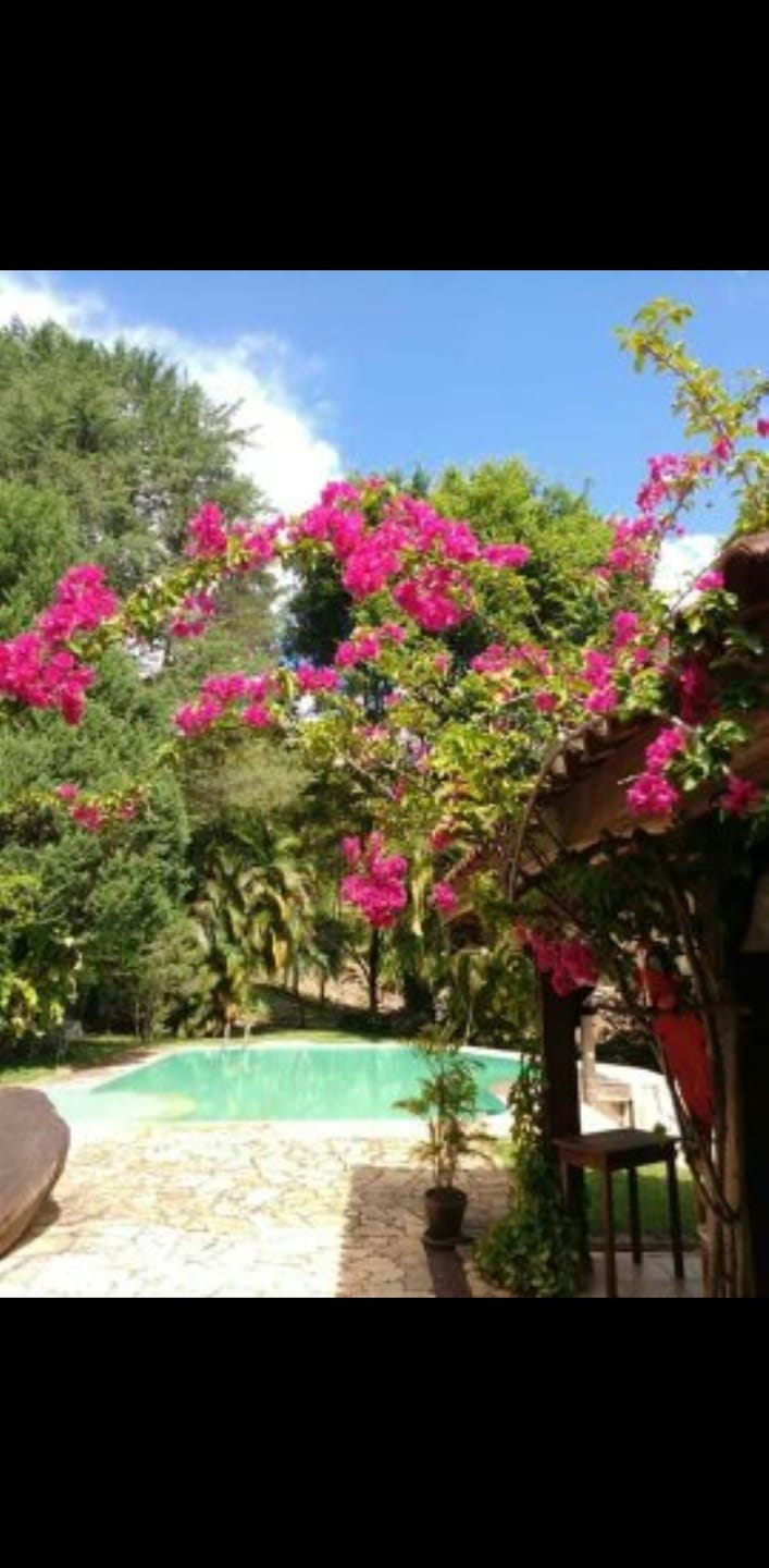 Sítio, 4 quartos, 35 hectares - Foto 10