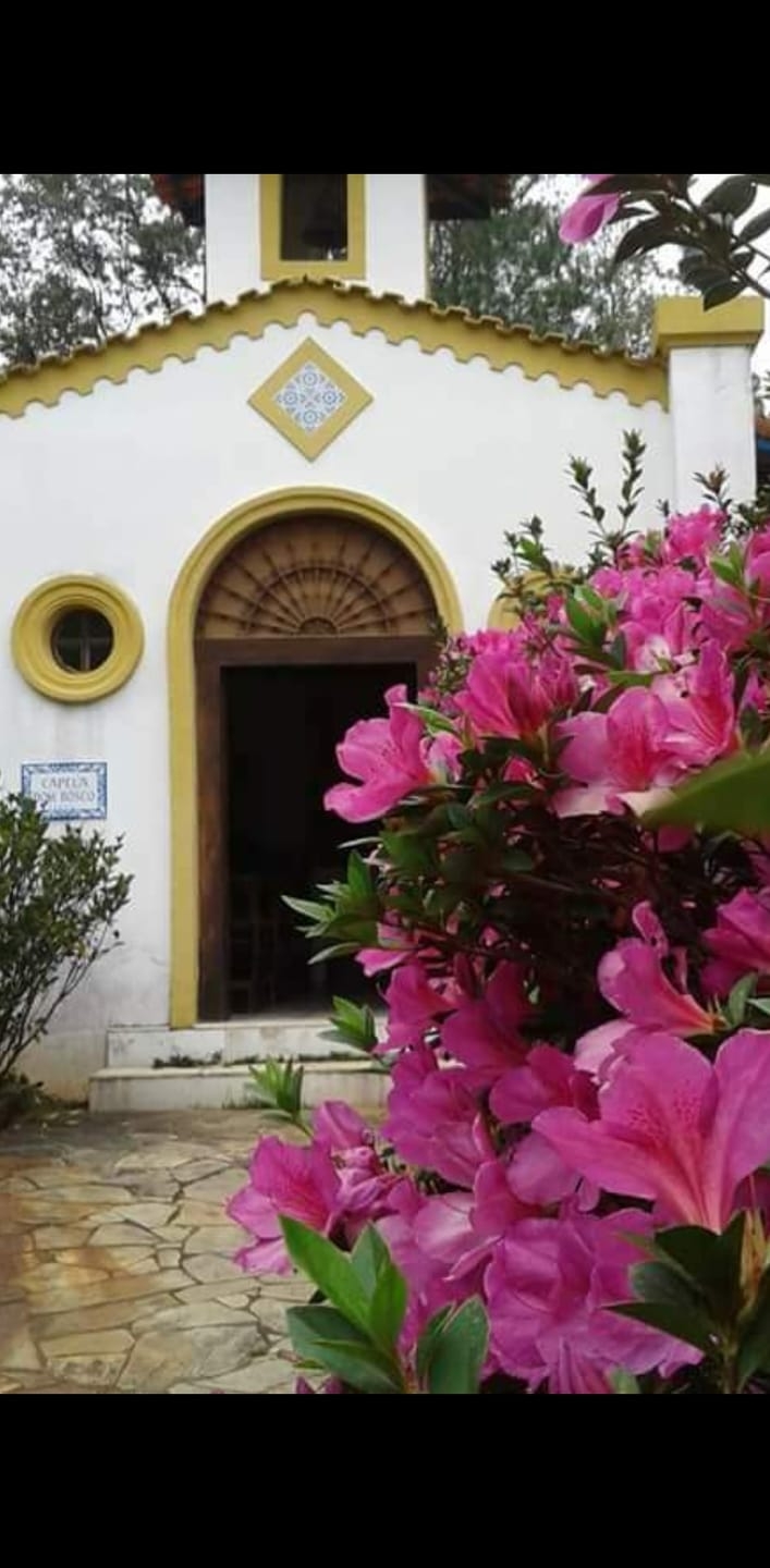 Sítio, 4 quartos, 35 hectares - Foto 11