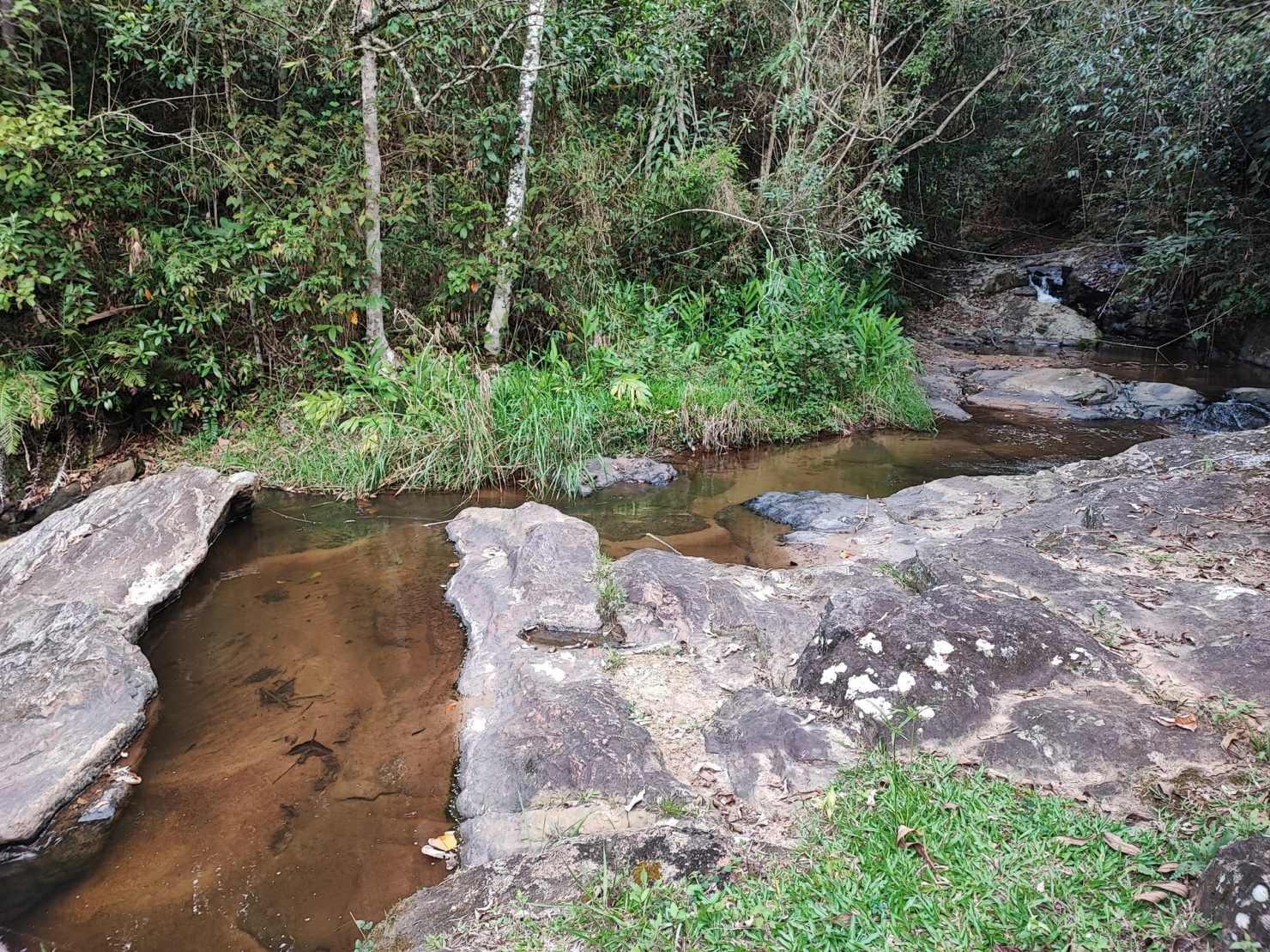 Terreno, 8 hectares - Foto 1