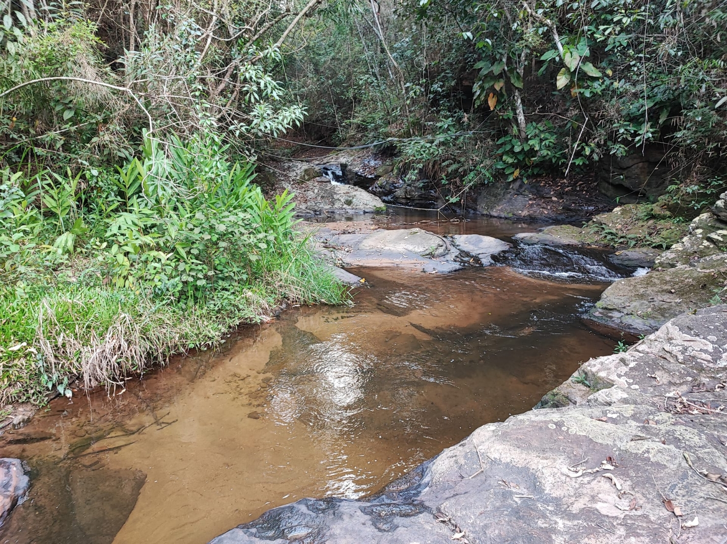 Terreno, 8 hectares - Foto 2