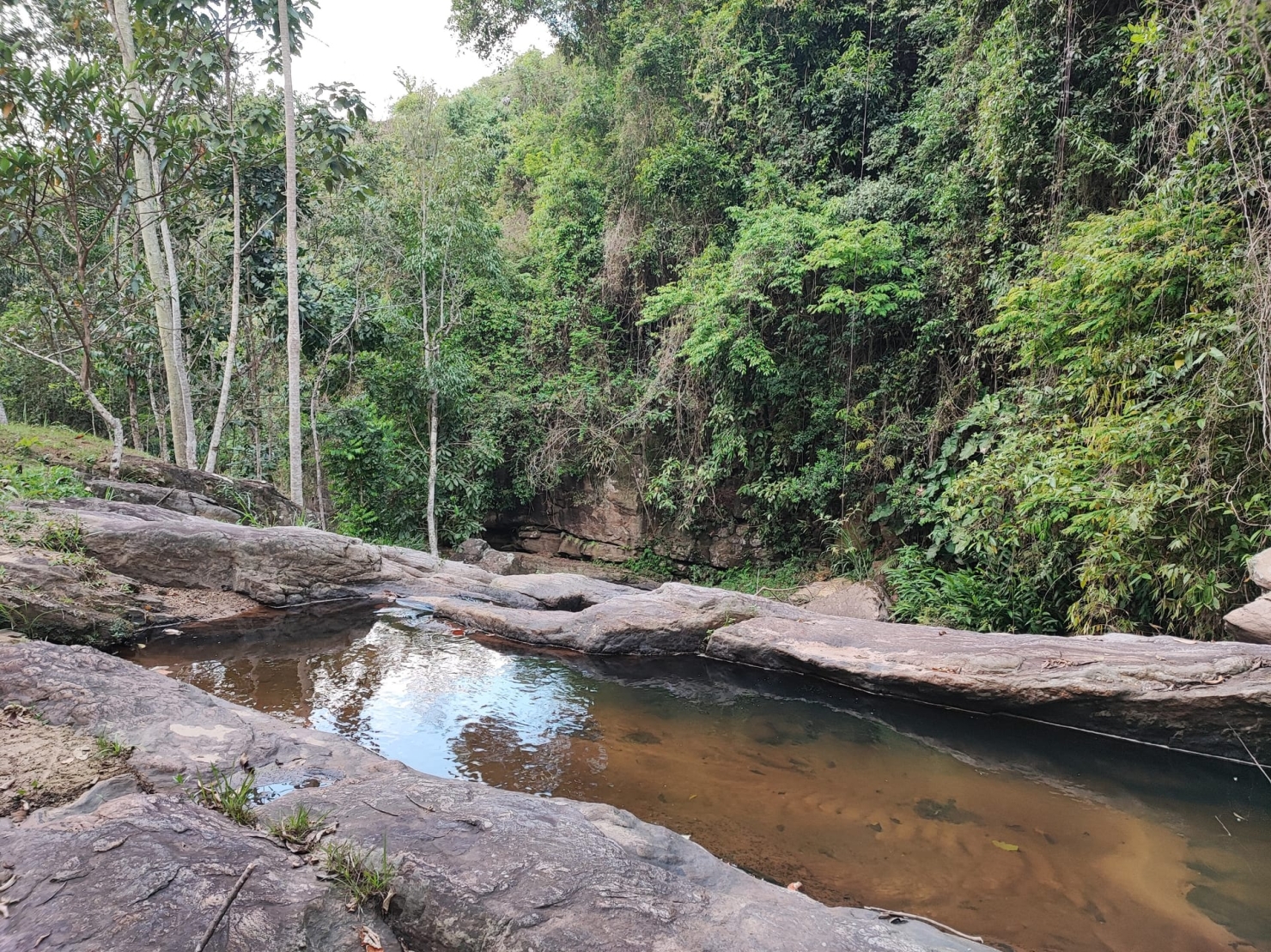 Terreno, 8 hectares - Foto 3