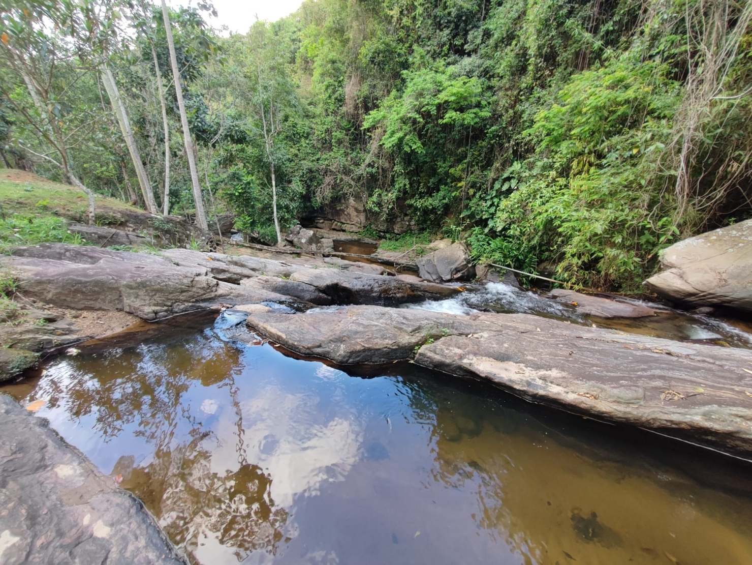 Terreno, 8 hectares - Foto 4