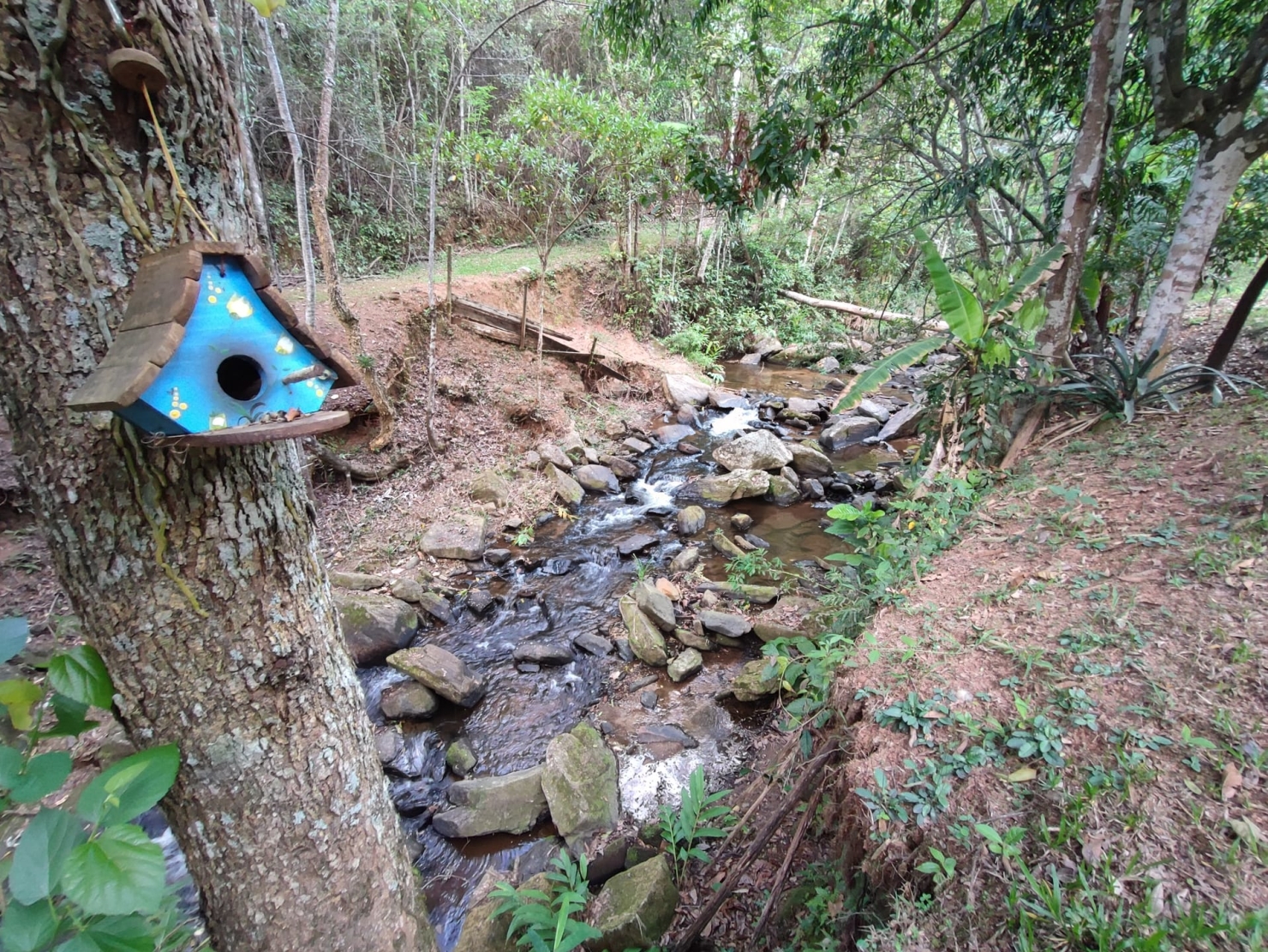 Terreno, 8 hectares - Foto 5