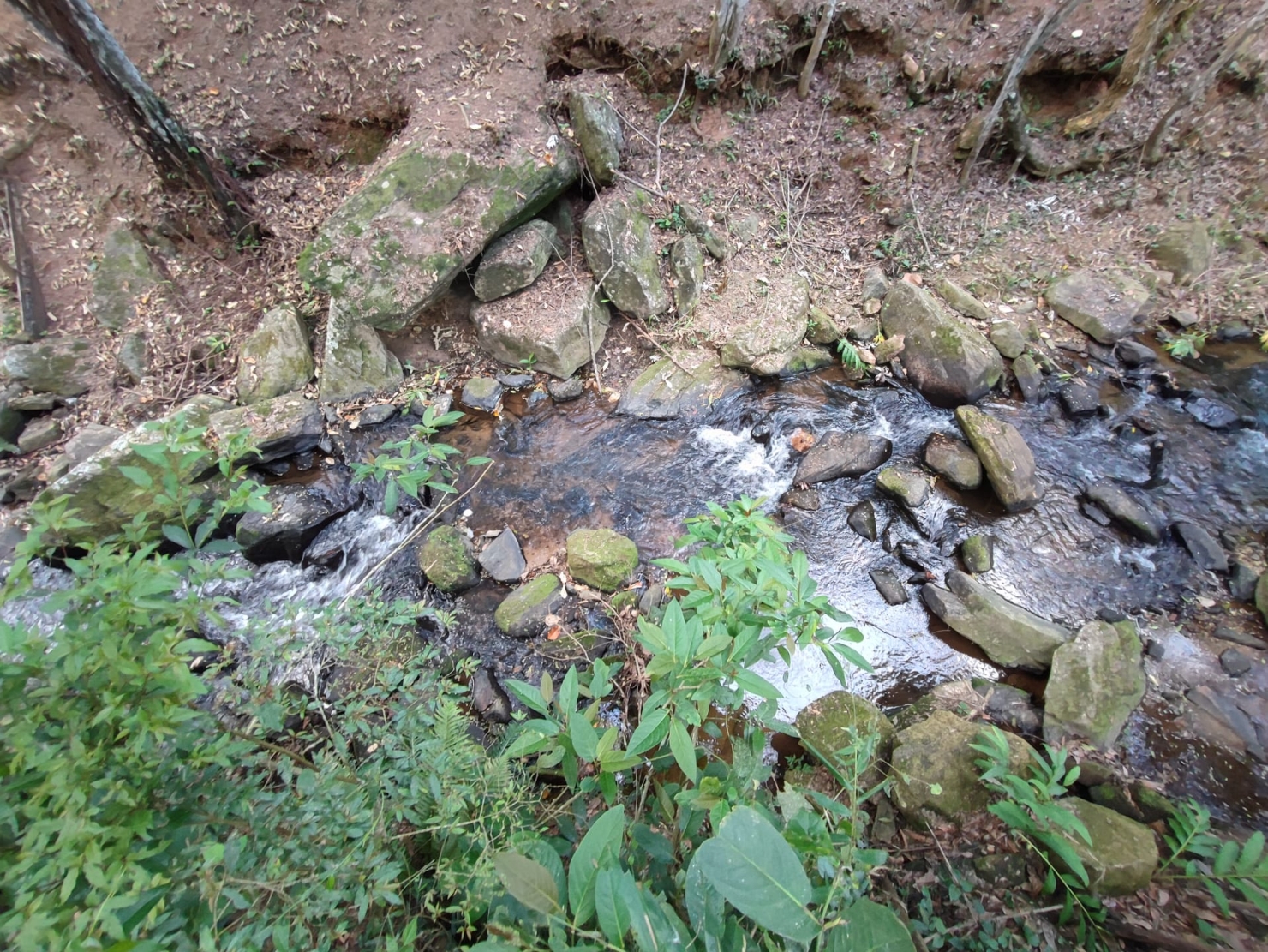 Terreno, 8 hectares - Foto 7