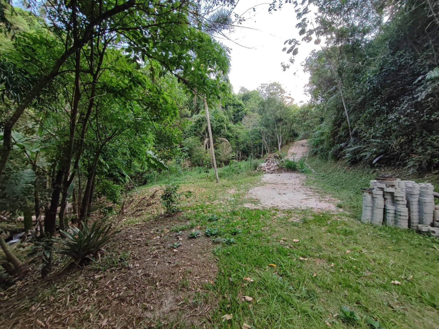 Terreno, 8 hectares - Foto 9