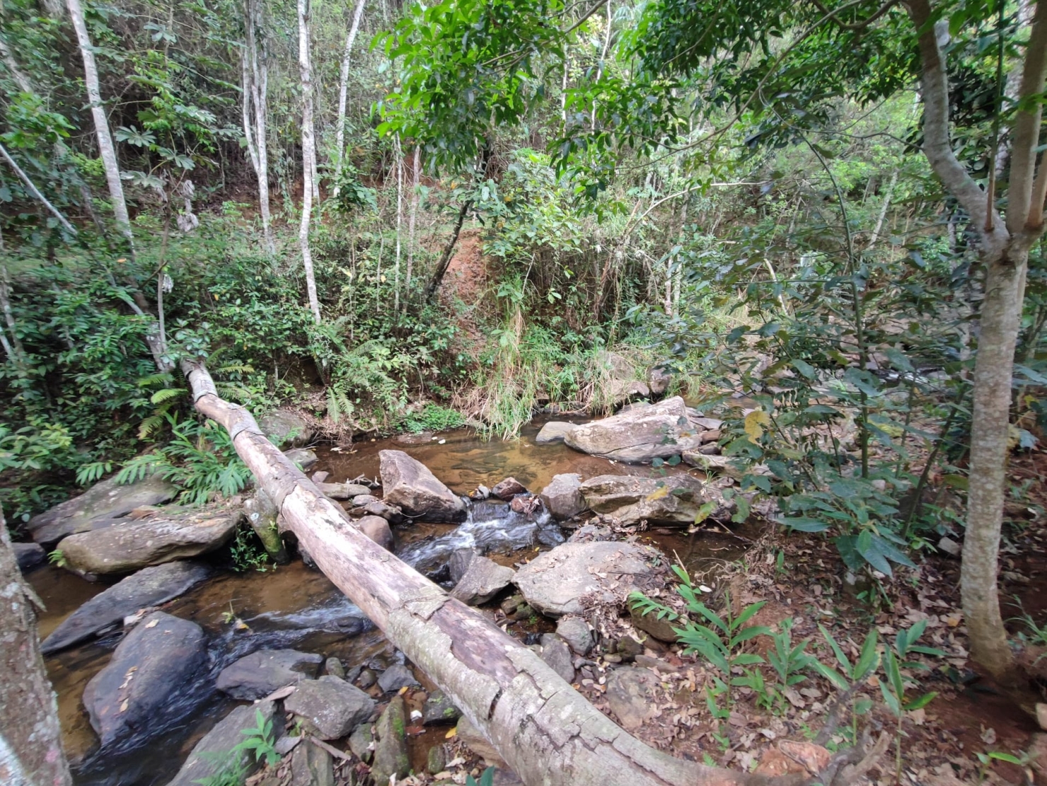 Terreno, 8 hectares - Foto 10