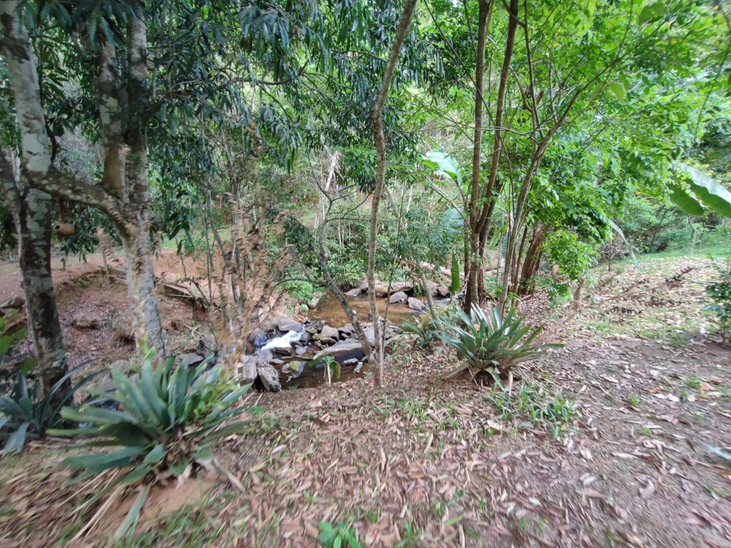 Terreno, 8 hectares - Foto 11