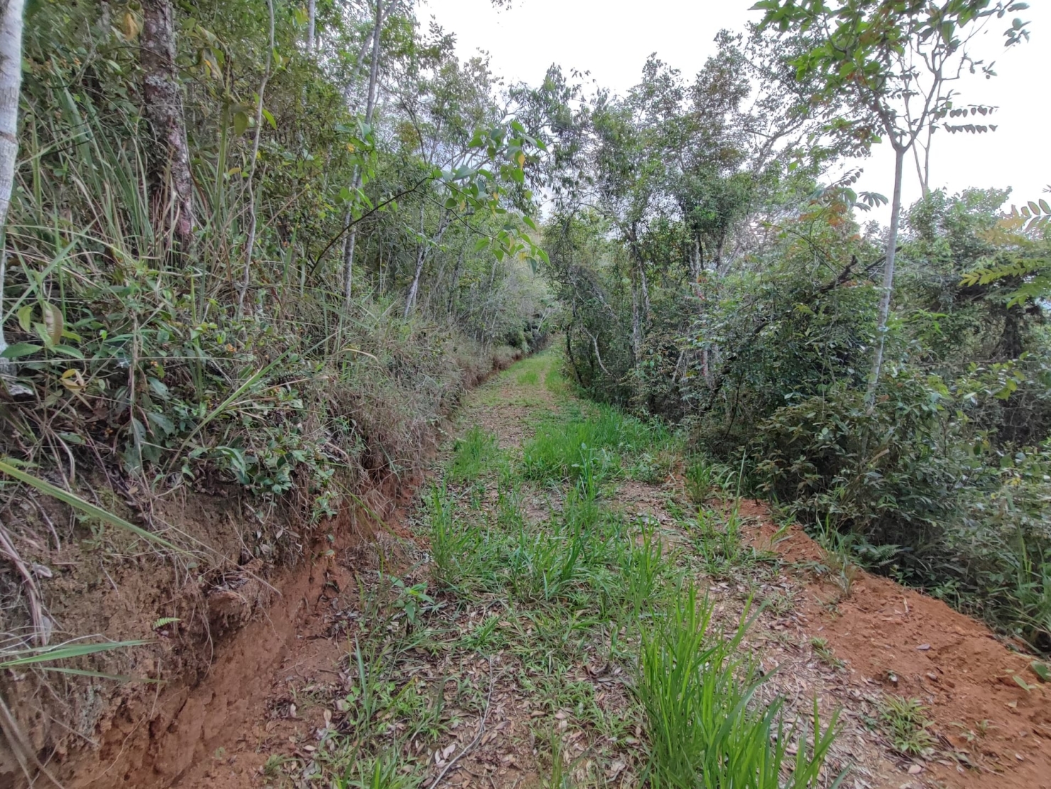 Terreno, 8 hectares - Foto 14