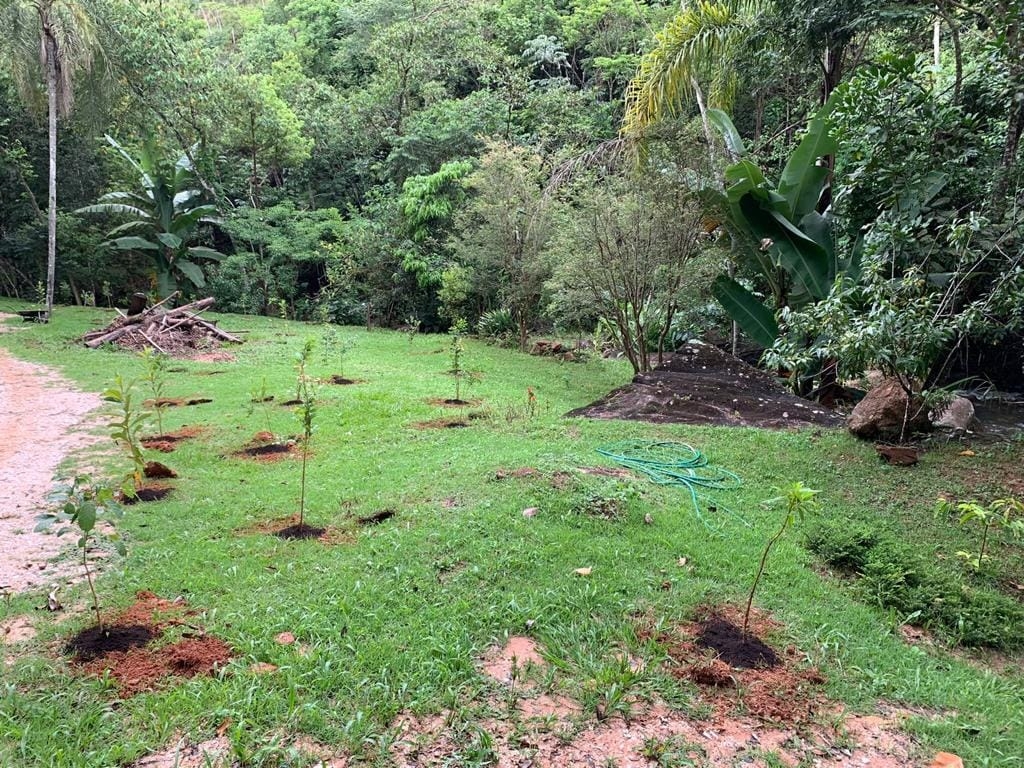 Terreno, 8 hectares - Foto 15