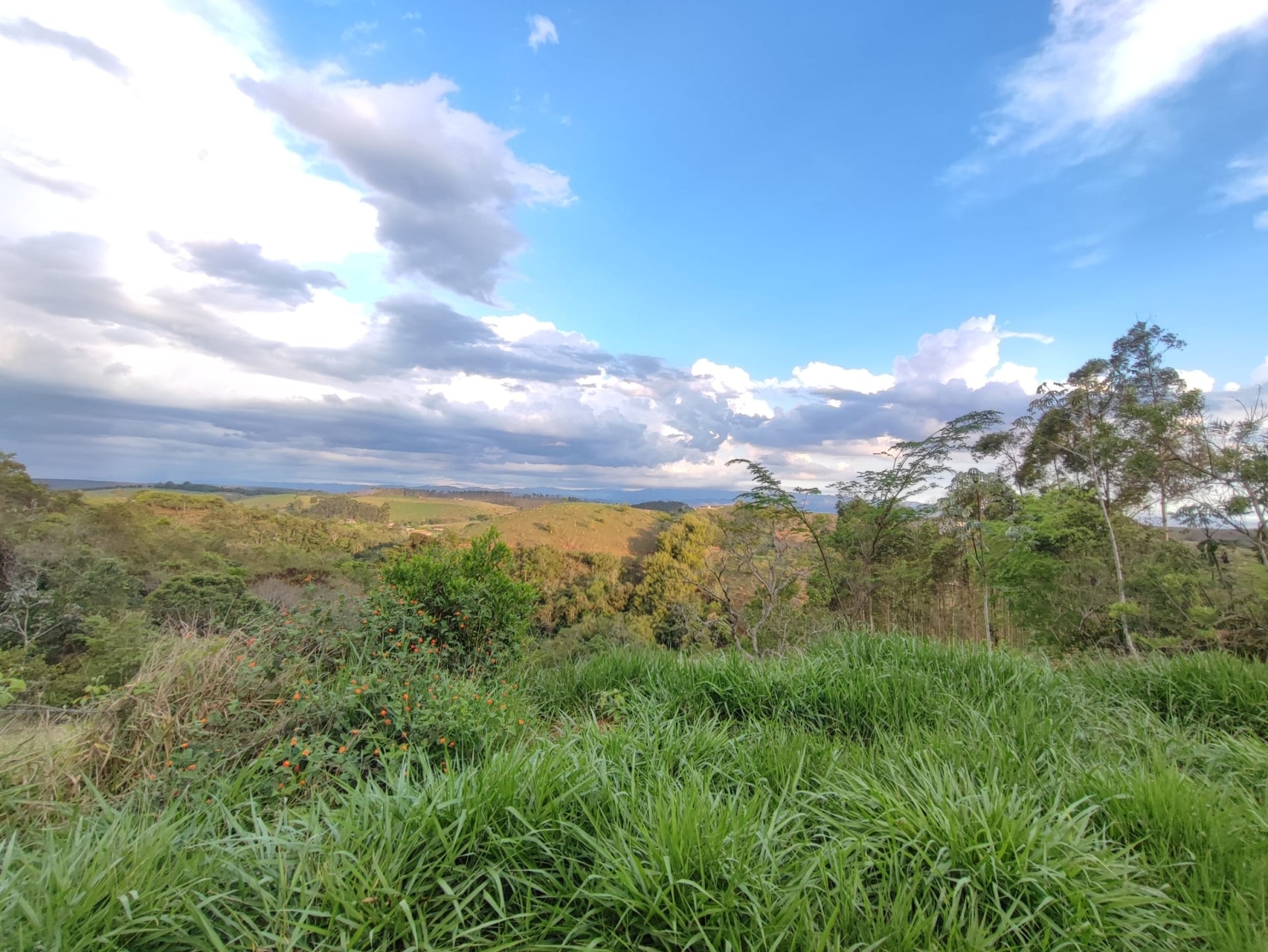 Terreno, 8 hectares - Foto 16