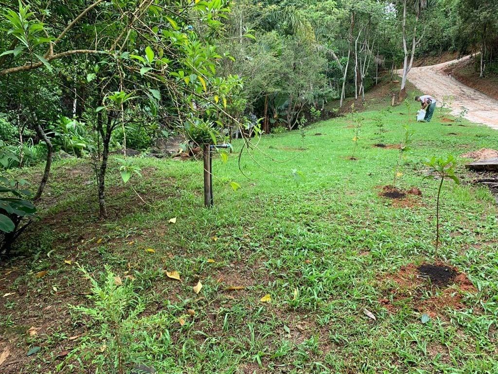 Terreno, 8 hectares - Foto 17