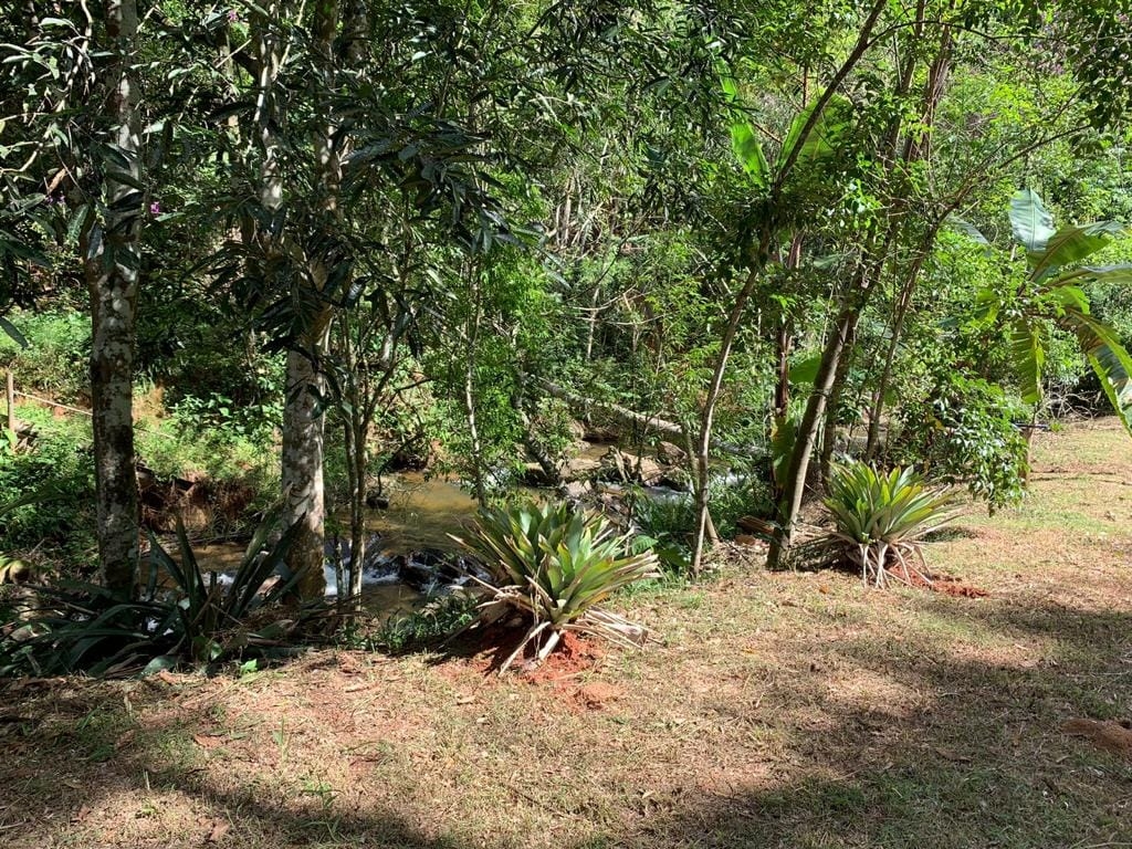 Terreno, 8 hectares - Foto 23