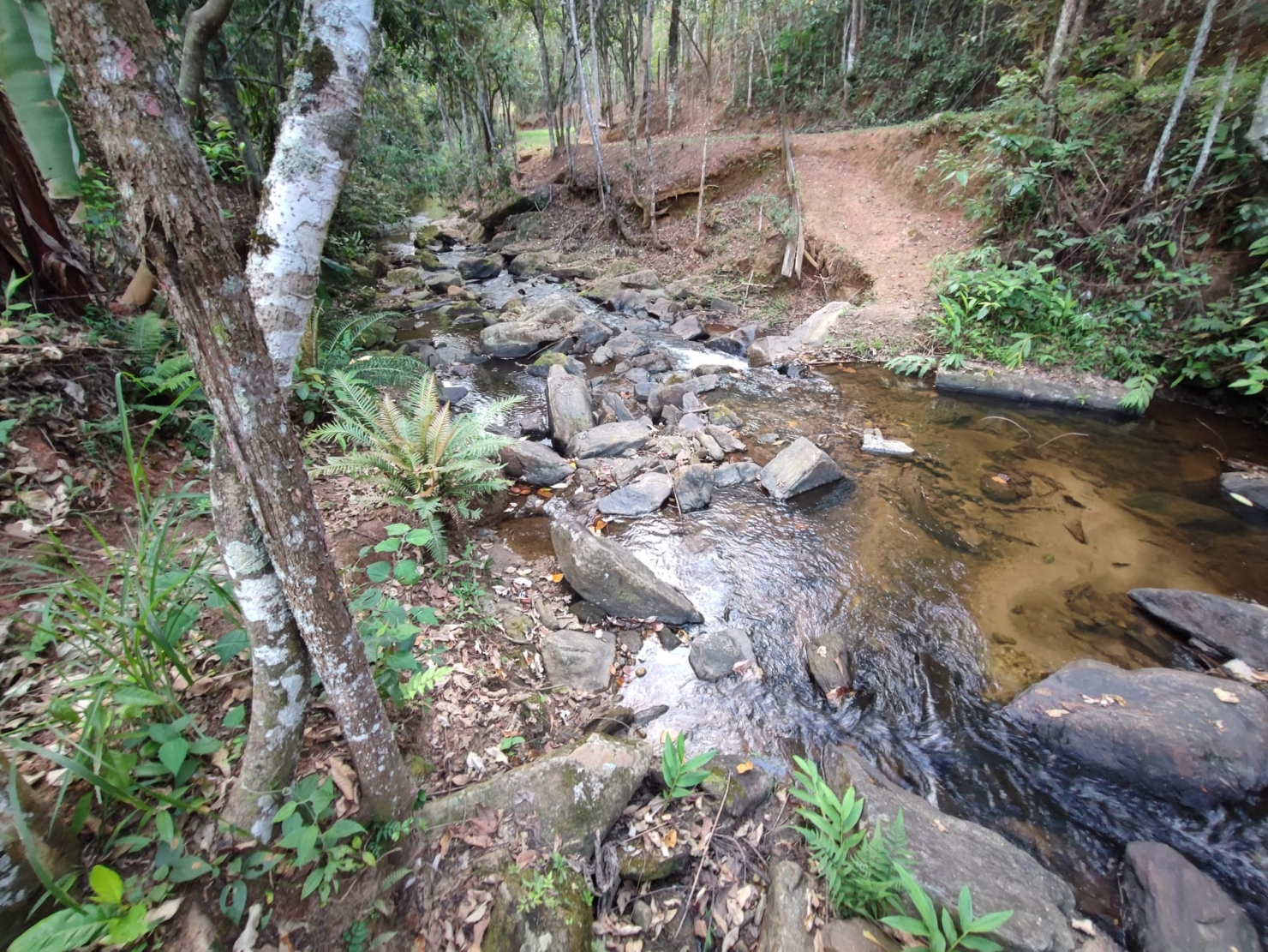 Terreno, 8 hectares - Foto 24