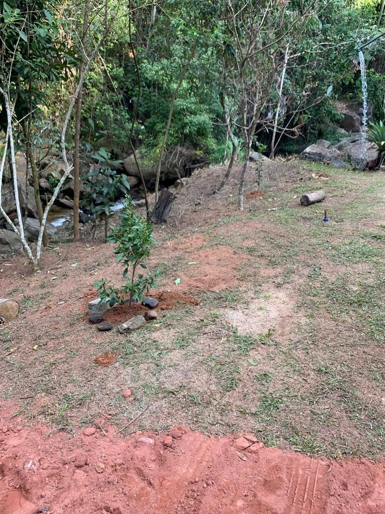 Terreno, 8 hectares - Foto 25