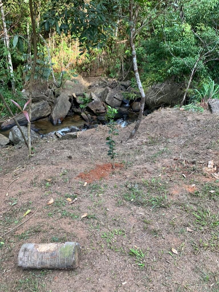 Terreno, 8 hectares - Foto 26