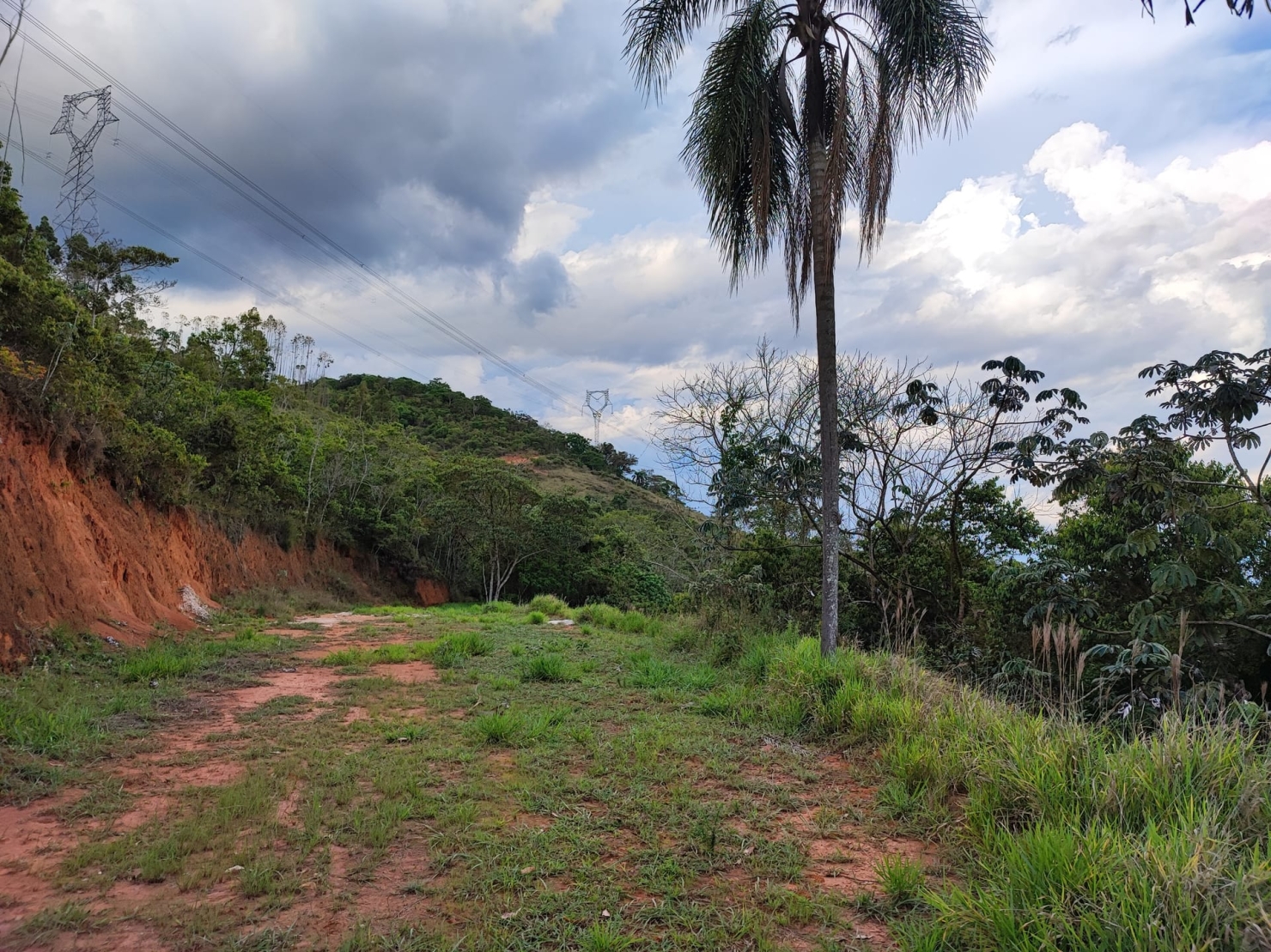 Terreno, 8 hectares - Foto 31