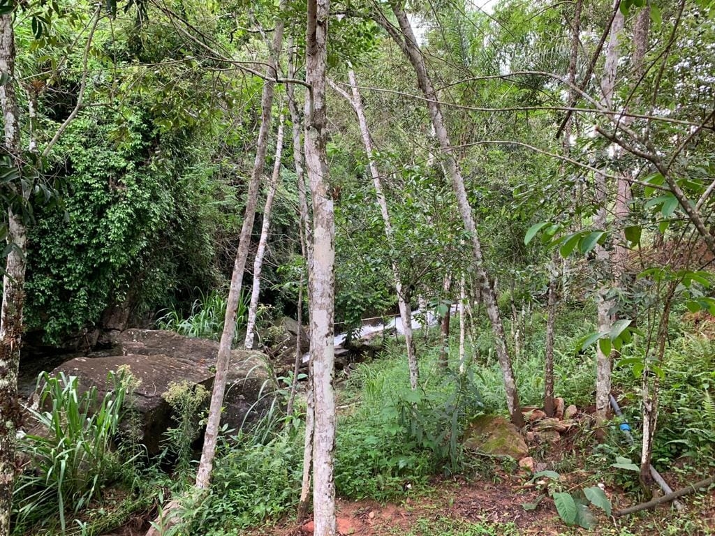 Terreno, 8 hectares - Foto 32