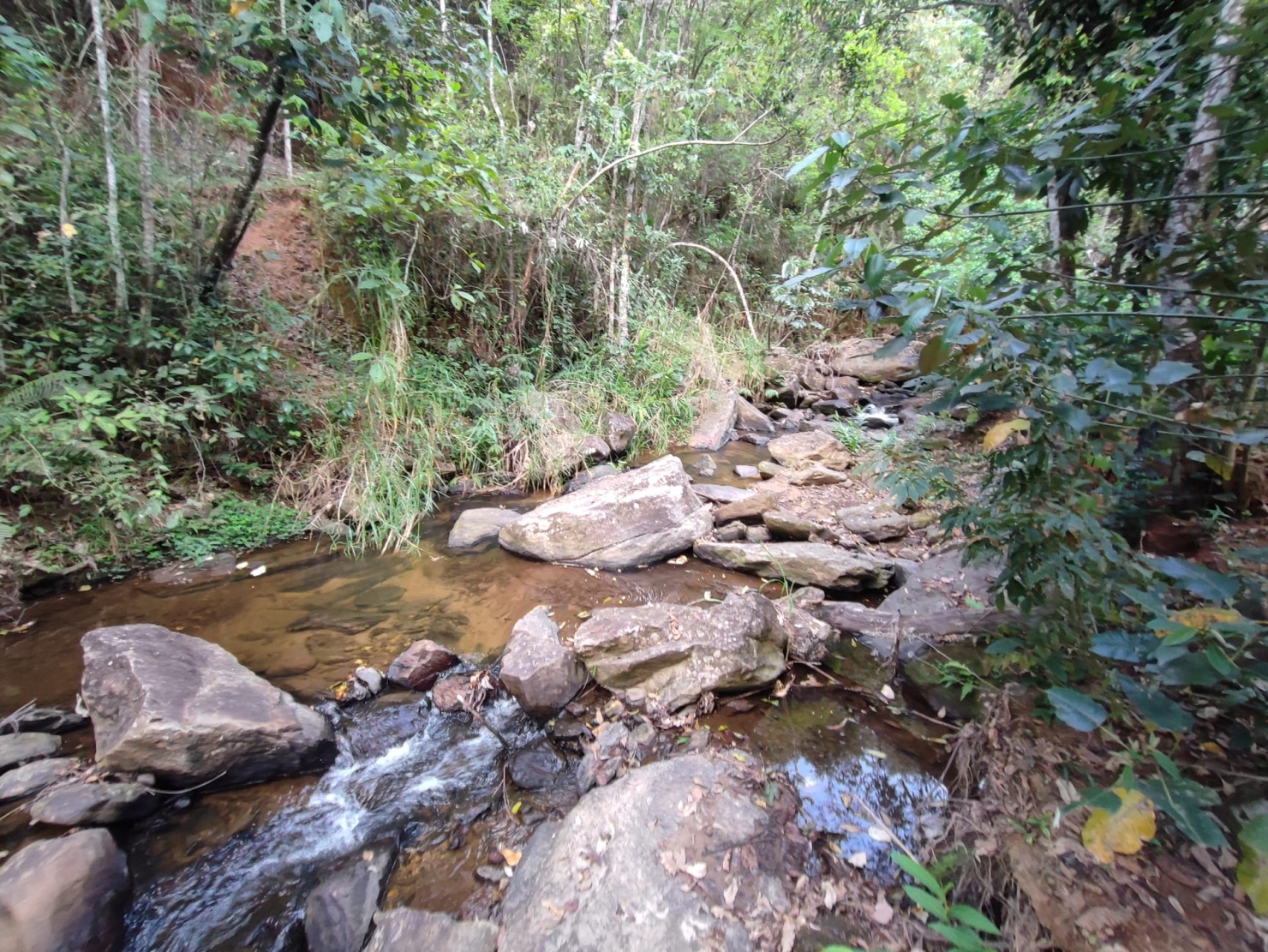 Terreno, 8 hectares - Foto 33