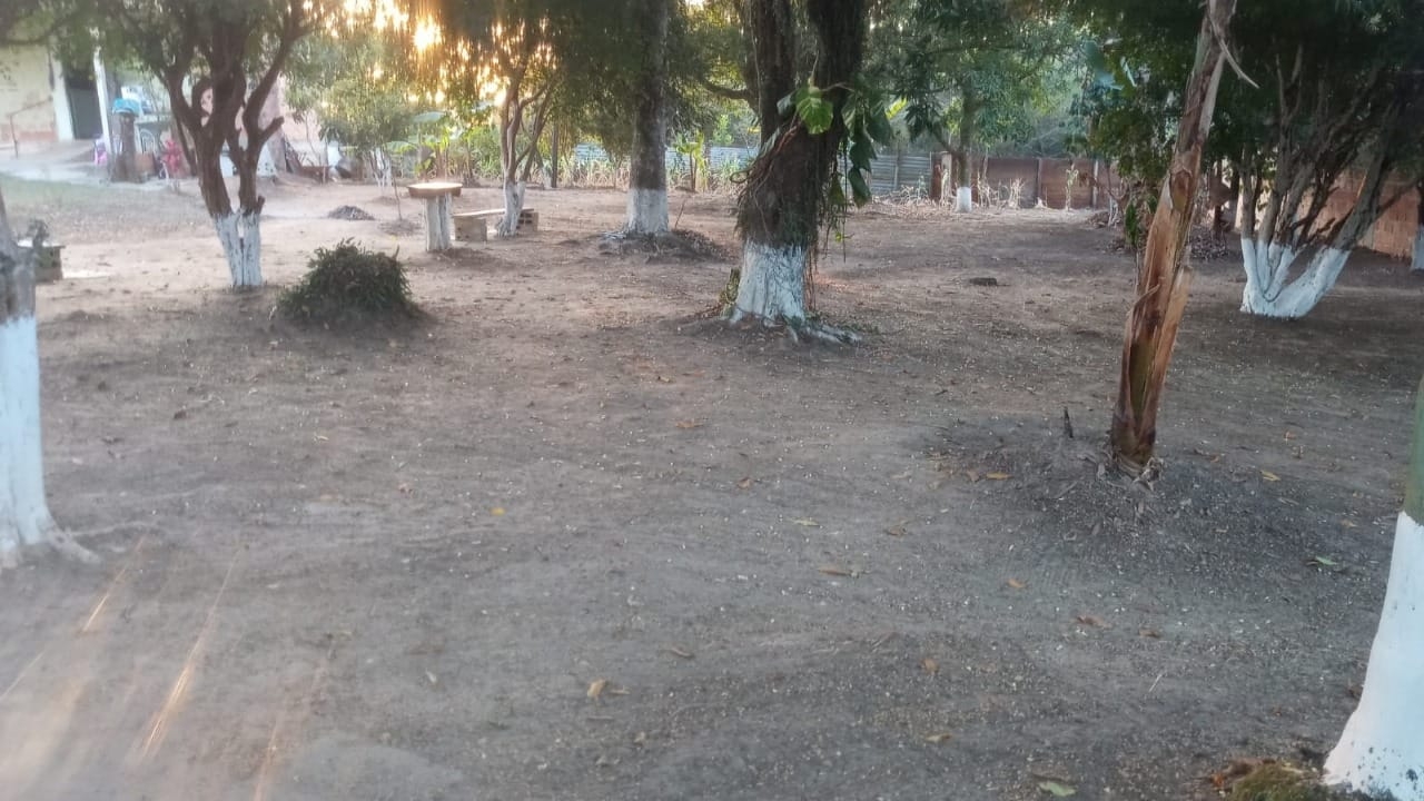 Chácara, 6 quartos, 1600 m² - Foto 3