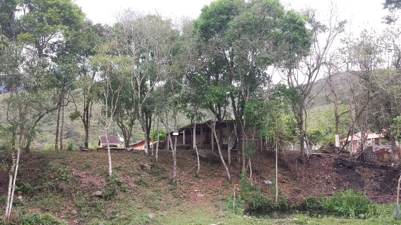 Chácara, 3 quartos, 10000 m² - Foto 2