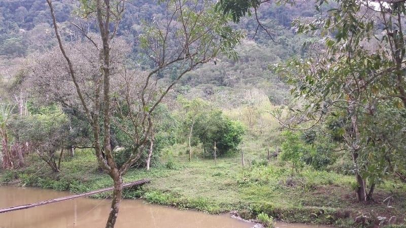 Chácara, 3 quartos, 10000 m² - Foto 3