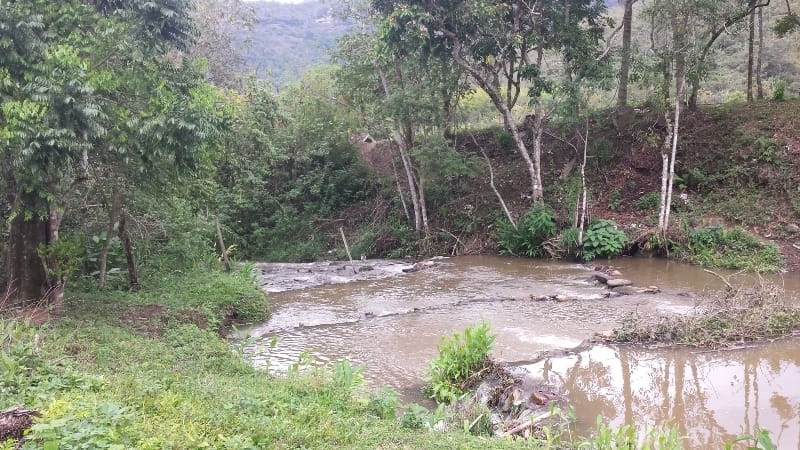 Chácara, 3 quartos, 10000 m² - Foto 4