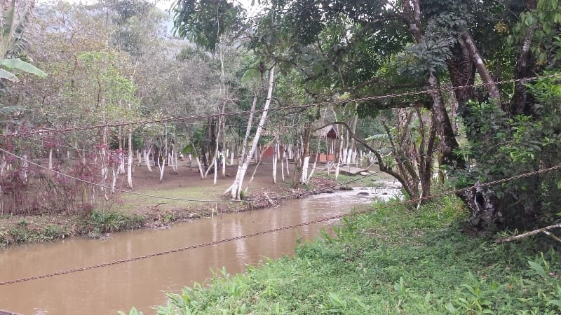 Chácara, 3 quartos, 10000 m² - Foto 5