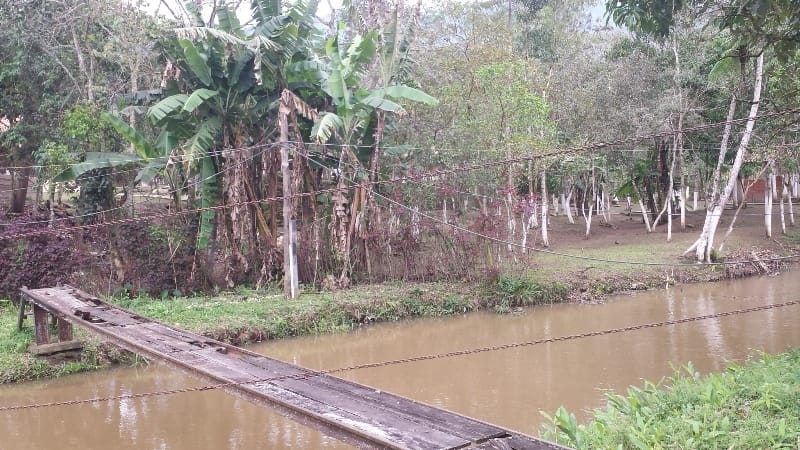 Chácara, 3 quartos, 10000 m² - Foto 6