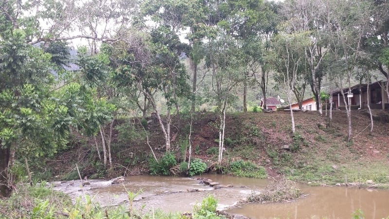 Chácara, 3 quartos, 10000 m² - Foto 7