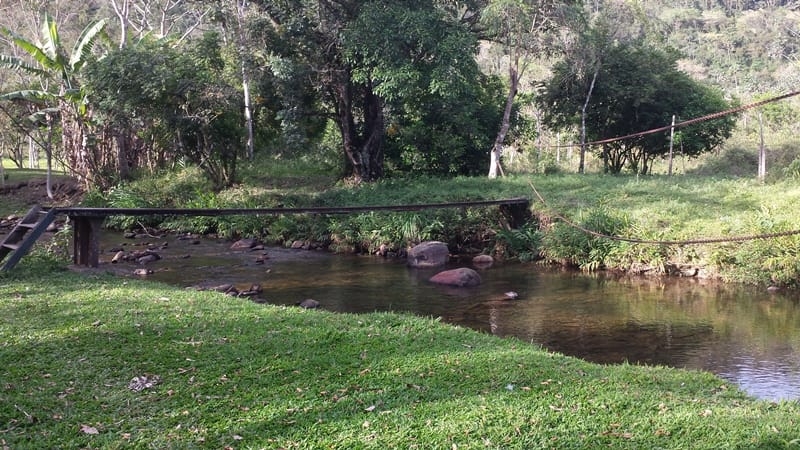 Chácara, 3 quartos, 10000 m² - Foto 10