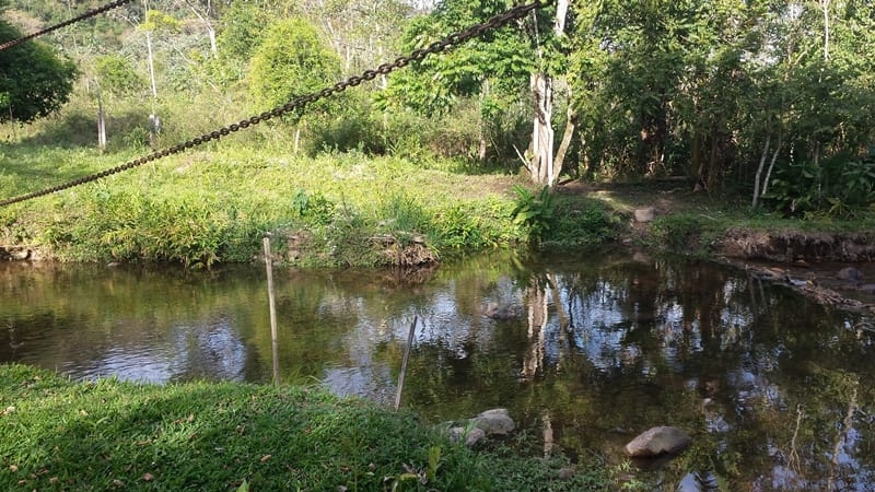 Chácara, 3 quartos, 10000 m² - Foto 11