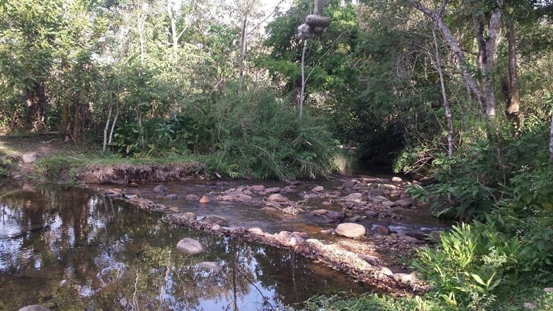 Chácara, 3 quartos, 10000 m² - Foto 12