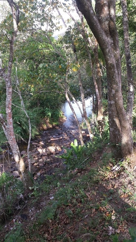 Chácara, 3 quartos, 10000 m² - Foto 13