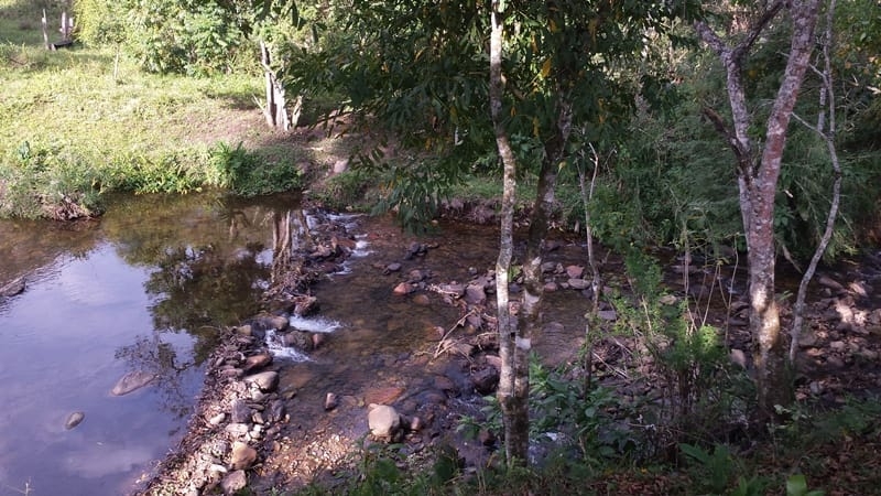 Chácara, 3 quartos, 10000 m² - Foto 15