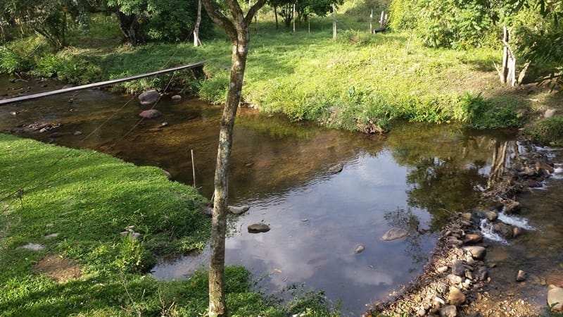 Chácara, 3 quartos, 10000 m² - Foto 16