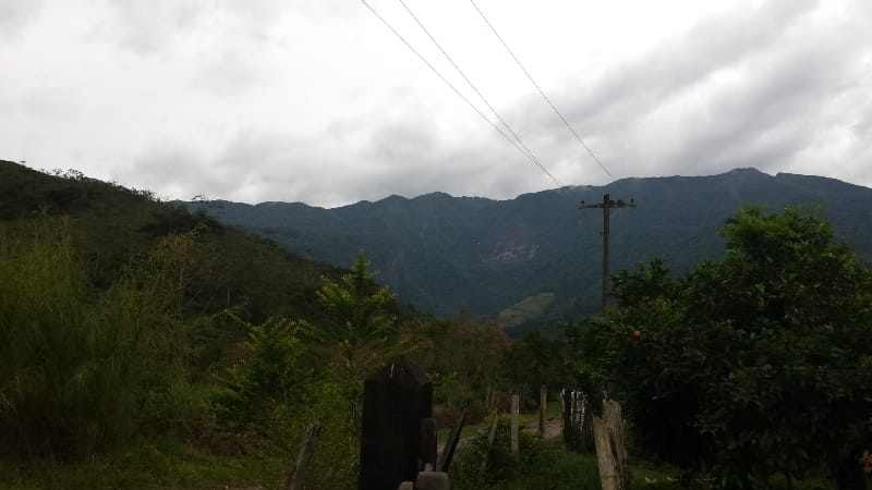 Chácara, 3 quartos, 10000 m² - Foto 17