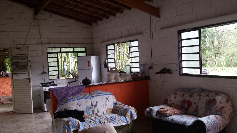 Chácara, 3 quartos, 10000 m² - Foto 30