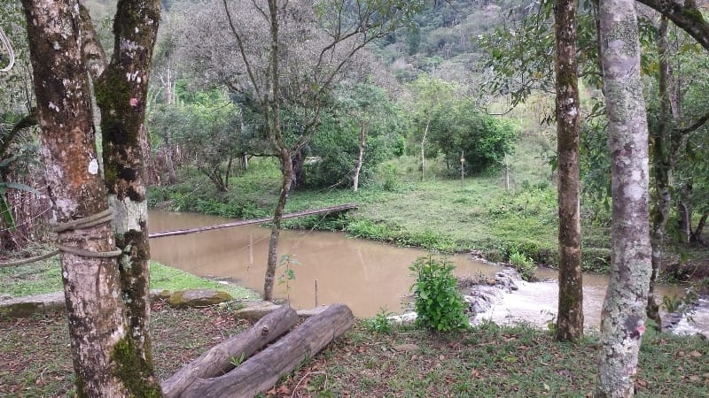 Chácara, 3 quartos, 10000 m² - Foto 39