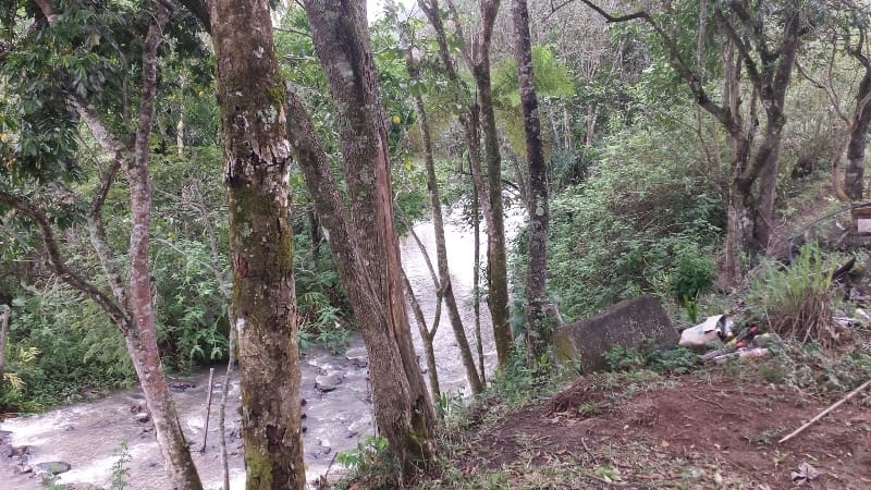 Chácara, 3 quartos, 10000 m² - Foto 40