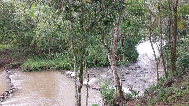 Chácara, 3 quartos, 10000 m² - Foto 49