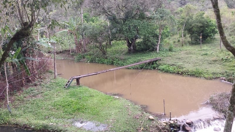 Chácara, 3 quartos, 10000 m² - Foto 50