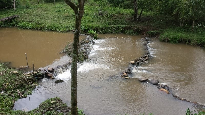 Chácara, 3 quartos, 10000 m² - Foto 51