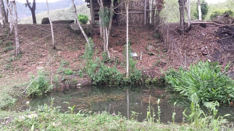 Chácara, 3 quartos, 10000 m² - Foto 52