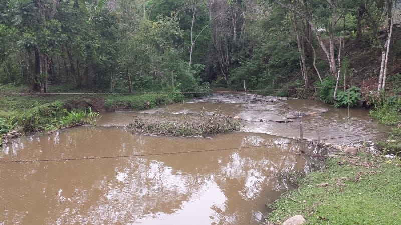 Chácara, 3 quartos, 10000 m² - Foto 54